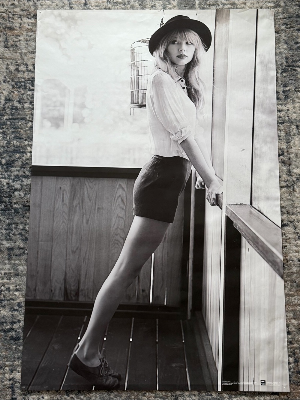 Taylor Swift Poster Red Era Standing Birdcage